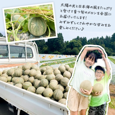 R8年産 先行受付 メロン2玉(秋田美人) 秋田県 男鹿市|23_bla-020201