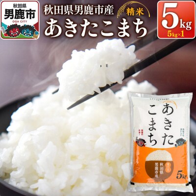 令和7年産あきたこまち(精米)5kg(5kg×1袋)|23_szf-010501