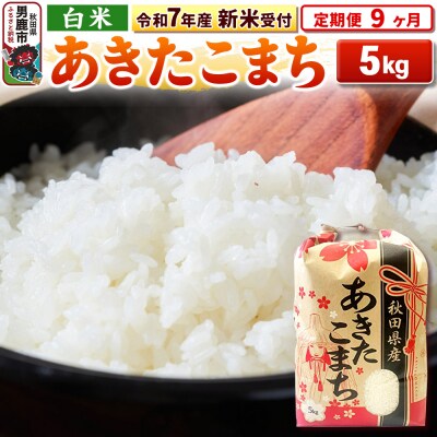 新米受付《定期便9ヶ月》【白米】秋田県産 あきたこまち 5kg|23_kml-030509s