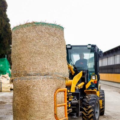 和牛なまはげ イチボステーキ 100g 大進農場|23_dsf-070101