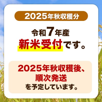 定期便2ヶ月【新米】令和7年産あきたこまち(精米)5kg|23_szf-010502