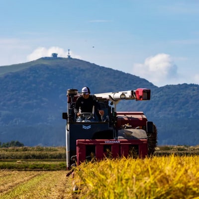 【定期便3ヶ月】令和7年産 あきたこまち 精米 10kg(5kg×2袋)|23_kmn-011003