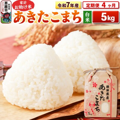 《定期便4ヶ月》令和7年産 【白米】家計お助け米 あきたこまち 5kg|23_kml-010504
