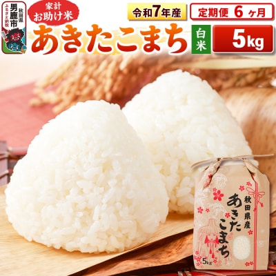 《定期便6ヶ月》令和7年産 【白米】家計お助け米 あきたこまち 5kg|23_kml-010506