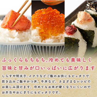 《定期便10ヶ月》令和7年産【無洗米】 あきたこまち 5kg|23_kml-020510