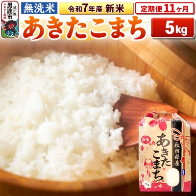 《定期便11ヶ月》令和7年産 新米【無洗米】 あきたこまち 5kg|23_kml-020511