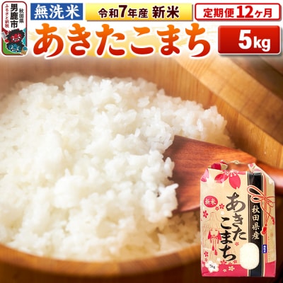 《定期便12ヶ月》令和7年産 新米【無洗米】 あきたこまち 5kg|23_kml-020512