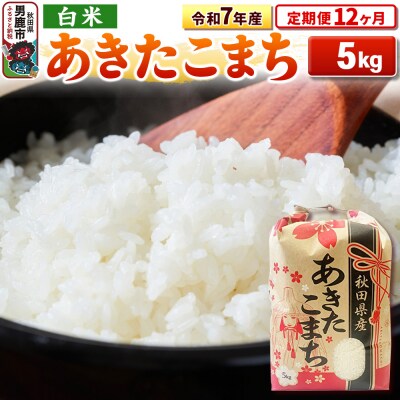 《定期便12ヶ月》令和7年産【白米】秋田県産 あきたこまち 5kg|23_kml-030512