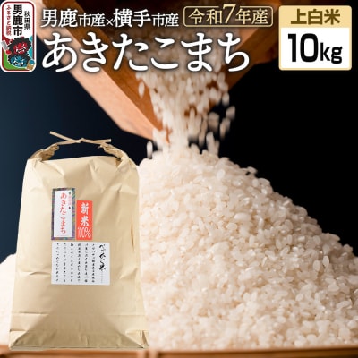 《令和7年産受付》あきたこまちブレンド米(上白米)10kg|23_ofc-021001