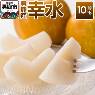 【令和8年度 早期受付】幸水 約10kg 秋田県 男鹿ファーム直売所|23_ofc-051001