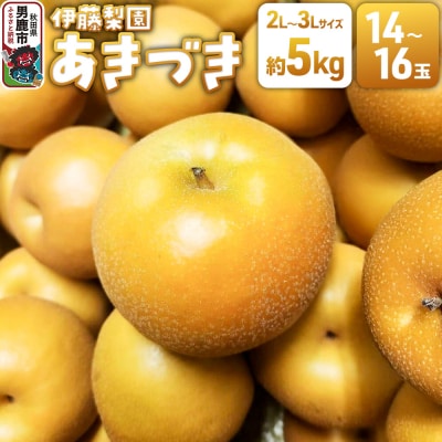 男鹿梨 あきづき 梨 約5kg 伊藤梨園 14玉～16玉 秋田県 男鹿市|23_itn-030501