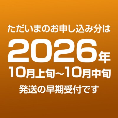 男鹿梨 秋泉 梨 約5kg 伊藤梨園 11玉～12玉 秋田県 男鹿市|23_itn-040501