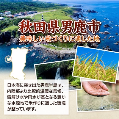 定期便6ヶ月令和7年産あきたこまち(精米)10kg|23_szf-011006