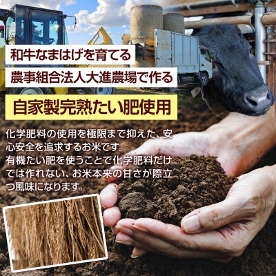 令和7年産 ミルキークイーン (精米) 5kg (5kg×1袋) 白米|23_dsf-100501