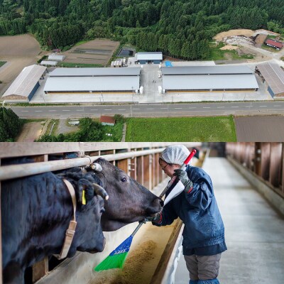 令和7年産 ミルキークイーン (精米) 5kg (5kg×1袋) 白米|23_dsf-100501