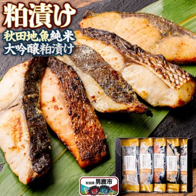粕漬け 秋田地魚純米大吟醸粕漬 五種詰め合わせ 秋田県 男鹿市|23_ogn-340101