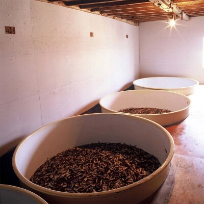 秋田しょっつる ノドグロ魚醤 130g×1本【簡易包装での発送】|23_moj-200101