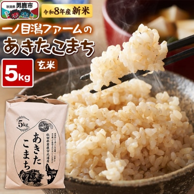 (新米先行受付) あきたこまち(玄米)5kg  一ノ目潟 ファーム|23_imf-010501s