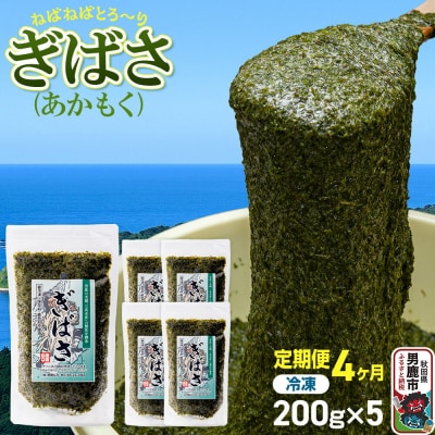 【定期便4ヶ月】ぎばさ(あかもく) 200g×5個セット 海藻 男鹿市|23_ogn-240504