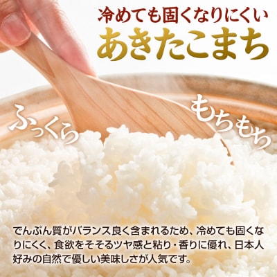 あきたこまち 10kg(5kg×2袋) 令和7年産 【定期便5ヶ月】 米|23_fjk-011005