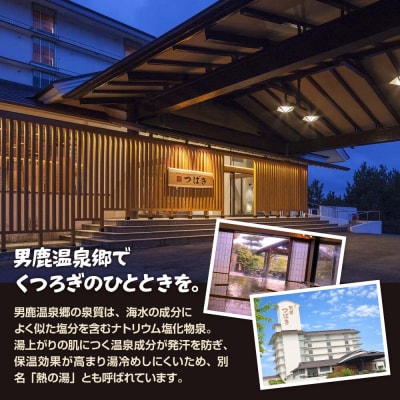 観光 男鹿半島観光満喫プラン(2名様2泊3日)【楽々タクシー移動】|23_okk-010101