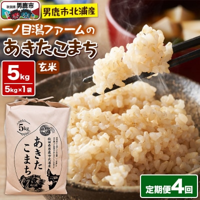あきたこまち 玄米 5kg 令和7年産 定期便4ヶ月 一ノ目潟ファーム|23_imf-010504