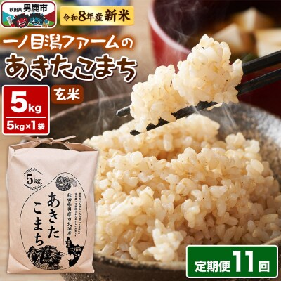 あきたこまち 玄米 5kg 令和8年産 定期11ヶ月 一ノ目潟ファーム|23_imf-010511s