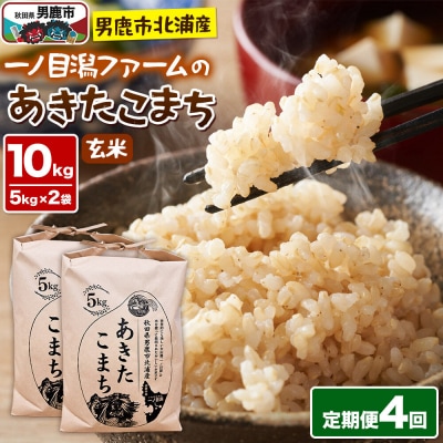 あきたこまち 玄米 10kg 令和7年産 定期便4ヶ月 一ノ目潟ファーム|23_imf-011004