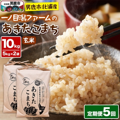 あきたこまち 玄米 10kg 令和7年産 定期便5ヶ月 一ノ目潟ファーム|23_imf-011005