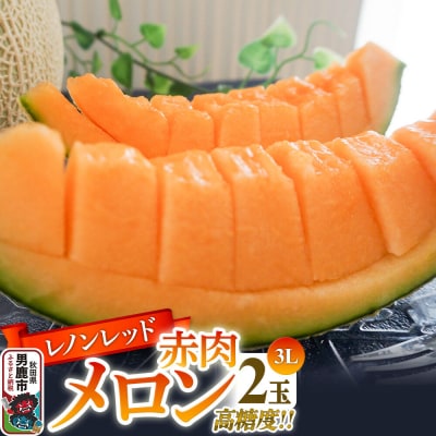 R8年産 先行受付 メロン2玉(レノンレッド) 秋田県 男鹿市|23_bla-010201