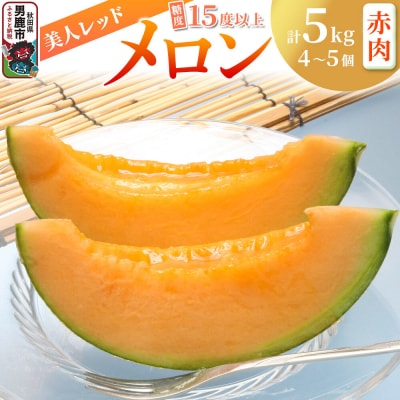 【先行受付】美人レッドメロン 4～5個 計5kg 豊富な甘さの赤肉メロン|23_nhn-070501