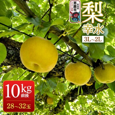 《先行受付》 梨 幸水 10kg前後 (3L～2L) 28～32玉|23_nhn-081001