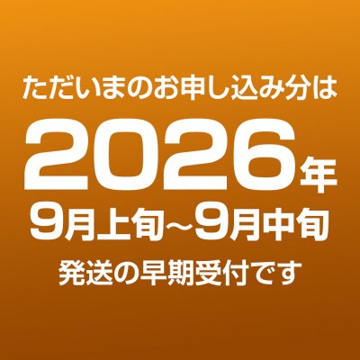 《先行受付》 梨 幸水 10kg前後 (3L～2L) 28～32玉|23_nhn-081001
