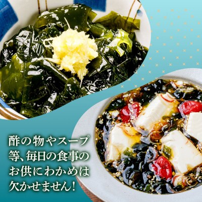 わかめ 男鹿名物とろとろわかめ 200g×10個セット|23_ogn-401001