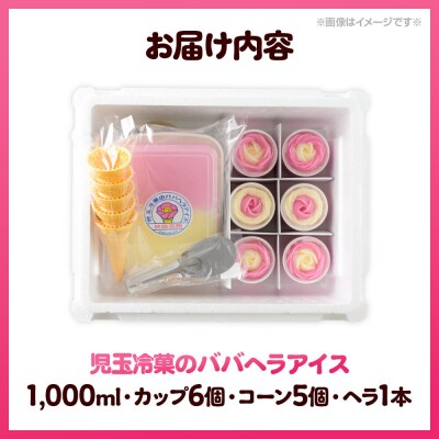 児玉冷菓のババヘラアイス アイスタッパ 1000ml&バラ盛りカップ6個|23_kdm-050101