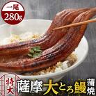 薩摩大とろ鰻蒲焼特大サイズ一尾　K190-002