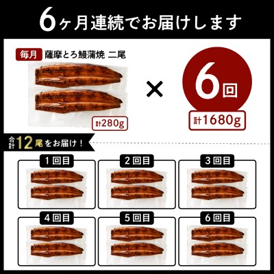 【全6回定期便】薩摩とろ鰻蒲焼二尾　K190-T01