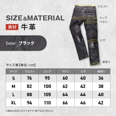 【デグナー】メンズカップ付レザーパンツ [DP-28] ブラック 〈Lサイズ〉