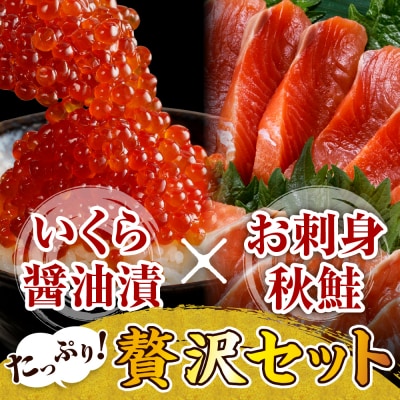 【2025年10月以降発送】鮭いくら醤油漬240gと北海道産お刺身秋鮭300g
