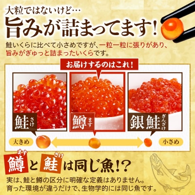 えりも【マルデン特製】鱒イクラ醤油漬250g×4箱【er002-023-c】