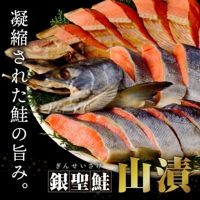 えりも【マルデン特製】日高産銀聖鮭山漬姿切身約2.5kg【er002-003-a】