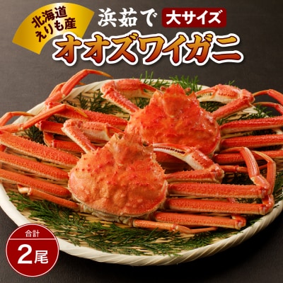 浜茹でオオズワイガニ2尾【えりも産】【er004-003-d】