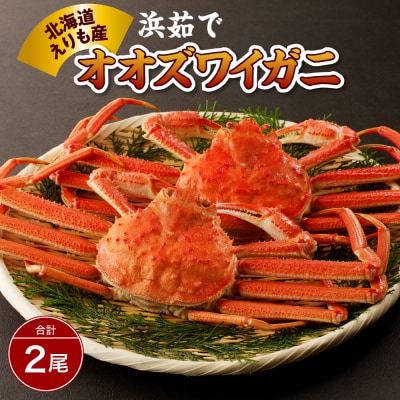 【2026年1月下旬以降発送】浜茹でオオズワイガニ2尾【えりも産】【er004-003-e】
