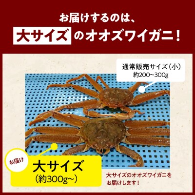 浜茹でオオズワイガニ2尾【えりも産】【er004-003-d】