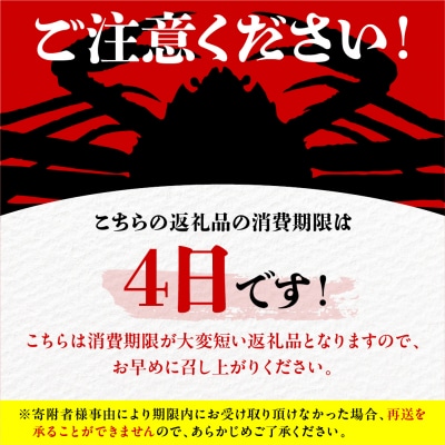 【2026年1月下旬以降発送】浜茹でオオズワイガニ2尾【えりも産】【er004-003-e】