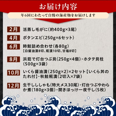 定期便 スペシャル海鮮詰合せコース 年6回【er001-027-a】 