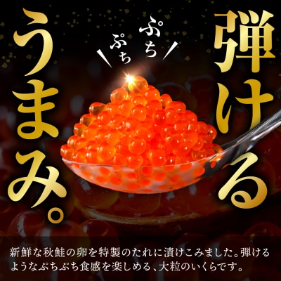北海道産　鮭いくら醤油漬け(200g×2)【er018-002-b】