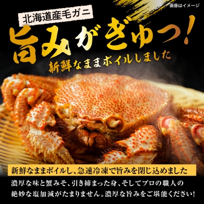 北海道産毛ガニ(450g×2尾)【er018-001-a】毛蟹 国産 ボイル えりも町