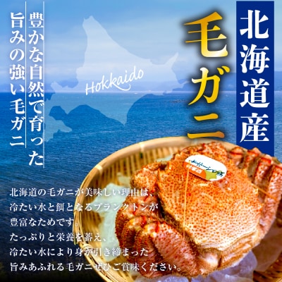 北海道産毛ガニ(450g×2尾)【er018-001-a】毛蟹 国産 ボイル えりも町