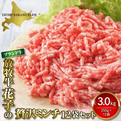 特用牛ミンチ!放牧牛花子の挽き肉3000g!【er008-018】